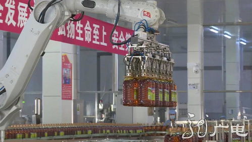 筑梦十四五 互联网助力龙江农产品走上网销时代