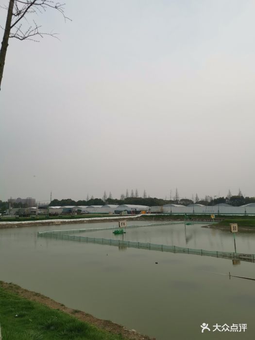 时代链高高尔夫学院(浦江店)