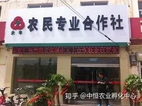 互联网时代我国农产品供应链发展模式探析